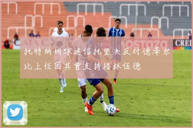 托特纳姆球迷信托坚决反对德泽尔比上任因其曾支持格林伍德